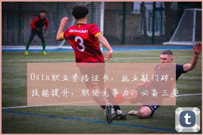 Osta职业资格证书，就业敲门砖，技能提升，职场竞争力，必备三要素