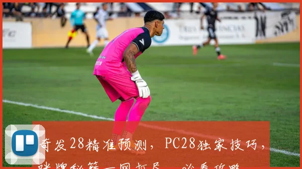 奇发28精准预测，PC28独家技巧，咪牌秘籍一网打尽，必看攻略