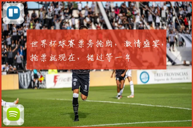 世界杯球赛票务抢购，激情盛宴，抢票就现在，错过等一年