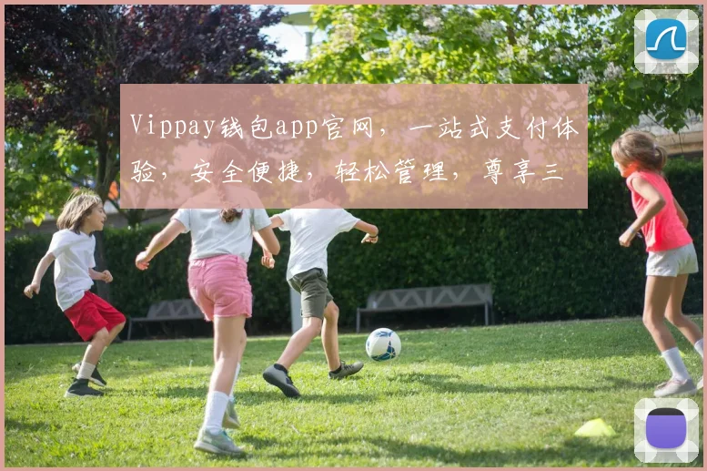 Vippay钱包app官网，一站式支付体验，安全便捷，轻松管理，尊享三重优惠，立即下载