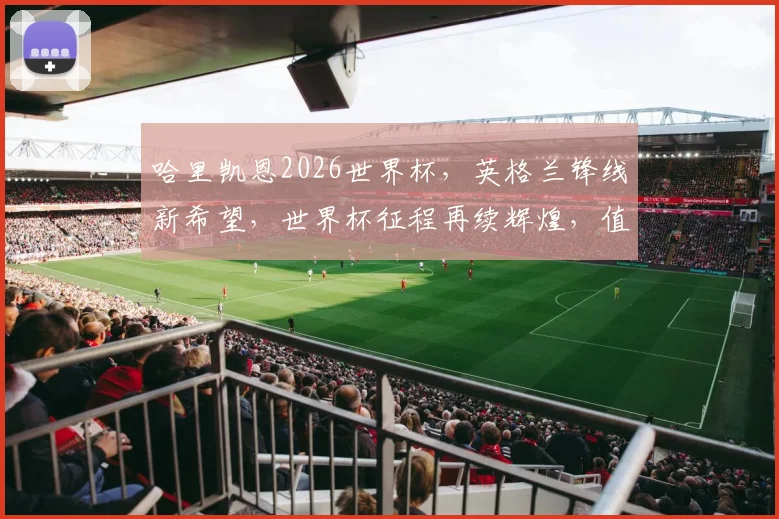 哈里凯恩2026世界杯，英格兰锋线新希望，世界杯征程再续辉煌，值得关注